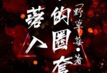 求落入他的圈套小说的全文免费阅读链接-书格格