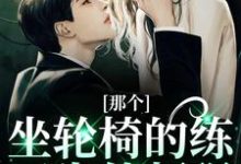 江北生的完整故事在哪里?读那个坐轮椅的练习生他超强小说-书格格
