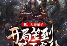 我,大秦帝子,开局签到苍天霸体章节免费在线阅读,秦尊完结版-书格格