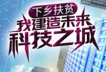 在线寻找下乡扶贫,我建造未来科技之城小说的无删减版本-书格格