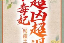 残疾王爷的小毒妃超凶超飒这本小说怎么样?免费在线阅读试试-书格格