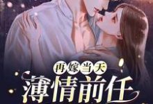 完整版的再嫁当天，薄情前任来抢婚小说在哪里可以免费读到？-书格格