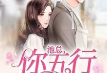 完整版的池总，你五行缺我小说在哪里可以免费读到？-书格格