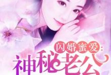 哪里能找到闪婚蜜爱:神秘老公别撩了小说的最新更新和免费章节?-书格格