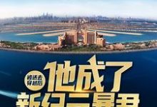 高言的故事在哪本书里?免费阅读被送去穿越后,他成了新纪元暴君-书格格