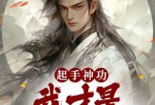 小说《起手神功:我才是一人之下》章节阅读-书格格