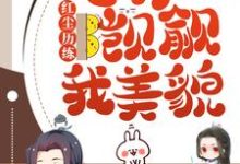 司莲容宴为主角的小说红尘历练:总有人觊觎我美貌在线阅读-书格格