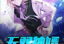 无双神婿这本小说怎么样?免费在线阅读试试-书格格