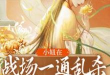 小妞在战场一通乱杀,只为混口饭?小说的免费电子版在哪里可以下载或阅读?-书格格