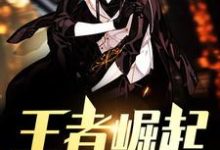 王者崛起这本小说怎么样？免费在线阅读试试-书格格