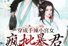已完结小说《穿成手辣小宫女，疯批暴君抱着宠》在线章节阅读-书格格
