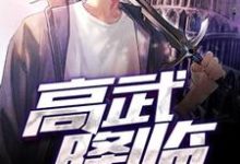 林枫李月婵小说叫什么(高武降临免费阅读)-书格格
