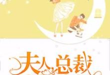 完结版《夫人，总裁闹着要二胎》在线免费阅读-书格格