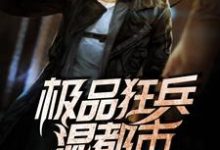 极品狂兵混都市小说的无弹窗阅读体验,寻找免费阅读网站-书格格