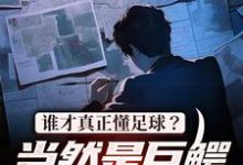 杨洛的小说在哪里看?免费在线阅读谁才真正懂足球?当然是巨鳄大亨我-书格格