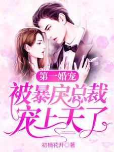 主角李时笙沈弋宸小说完结版在线阅读，第一婚宠：被暴戾总裁宠上天了免费看