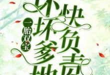 南宫丞沈茉染小说在线章节免费阅读(一胎双宝:坏坏爹地快负责无弹窗无删减)-书格格