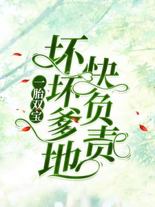 南宫丞沈茉染小说在线章节免费阅读（一胎双宝：坏坏爹地快负责无弹窗无删减）