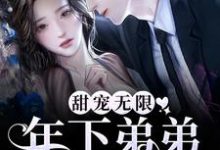 小说《甜宠无限:年下弟弟拦腰宠》在线章节阅读-书格格