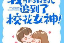 在线寻找我靠系统追到了校花女神！小说的无删减版本-书格格