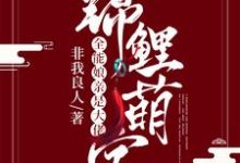 锦鲤萌宝:全能娘亲是大佬小说全文阅读需要付费吗?寻找免费资源-书格格