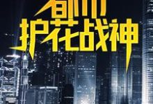 都市护花战神小说有没有完整的免费版本在线阅读？-书格格
