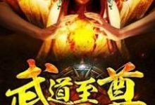 叶梵天萧泽钰刘欣王雪小说在线章节免费阅读(武道至尊无弹窗无删减)-书格格