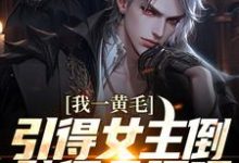 完结版《我一黄毛,引得女主倒贴很合理吧》章节阅读-书格格