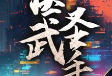 小说《医武圣手》章节阅读-书格格