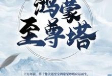 免费在线阅读鸿蒙至尊塔小说的正规网站有哪些?-书格格