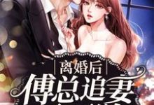 离婚后傅总追妻不要脸最新章节,离婚后傅总追妻不要脸免费阅读-书格格