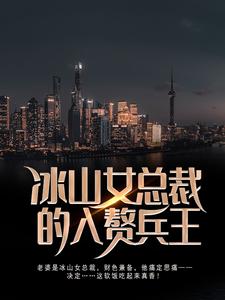 求冰山女总裁的入赘兵王小说免费资源