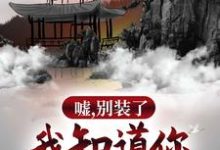林羽为主角的小说嘘,别装了,我知道你所有过往在线阅读-书格格