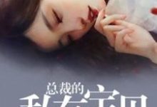 总裁的私有宝贝乔桑榆慕遥黎北辰小说在线章节目录阅读最新章节-书格格