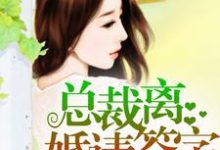 完结版《总裁,离婚请签字》在线免费阅读-书格格
