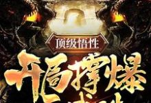 顶级悟性,开局撑爆天赋珠小说无弹窗阅读的网站推荐-书格格