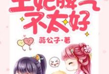 王妃脾气不太好苗奇奇白辰,王妃脾气不太好章节在线阅读-书格格