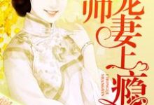 少帅宠妻上瘾小说有没有完整的免费版本在线阅读?-书格格