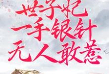 被逼替嫁:世子妃一手银针无人敢惹主角周卿辞盛九铮小说完结版章节在线阅读-书格格