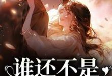 完结版《谁还不是开飞机的了》在线免费阅读-书格格