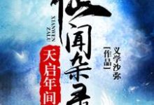《天启年间仙闻杂录》全集免费在线阅读(陈后儒离火神丐)-书格格