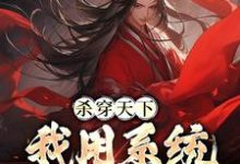 小说《杀穿天下:我用系统收复天下》在线章节阅读-书格格