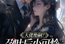 免费阅读黎棠棠陆迟聿为主角的小说,大佬绝嗣?孕吐后小可怜一胎三宝在线看-书格格