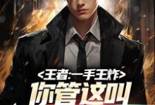 在线寻找季言季牧的小说,王者:一手王炸,你管这叫职业首发免费阅读-书格格