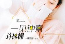 主角叫许棉秦迹赫连范思哲的小说在哪阅读-书格格