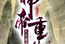 《神帝重生:九天最强赘婿》小说大结局免费试读 叶尘林家叶清逸小说-书格格