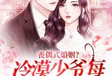 想读黎杳容京屿的故事，哪里可以免费找到丧偶式婚姻？冷漠少爷每日掐腰狂吻？-书格格