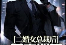 二婚女总裁后，前妻哭着求复合小说有没有完整的免费版本在线阅读？-书格格