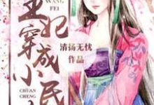 小说《王妃穿成小民女》章节阅读-书格格