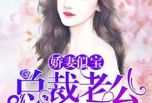 安乔傅言为主角的小说好看吗?免费读娇妻似宝:总裁老公太难缠-书格格